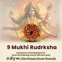 9 Mukhi Lab Tested Certified Rudraksha