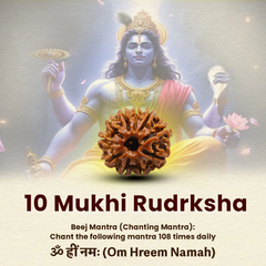 10 Mukhi Lab Tested Certified Rudraksha