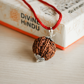 7 Mukhi Premium Rudraksha