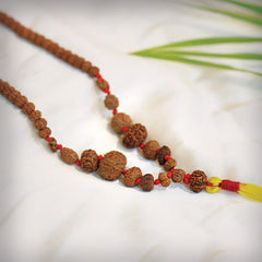 1 - 14 Mukhi Rudraksha Mala