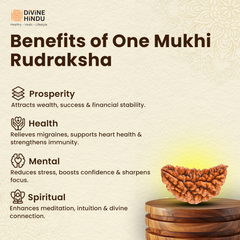 1 Mukhi Lab Certified Rudraksha