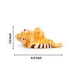 Divine Hindu Ganesh Shankh