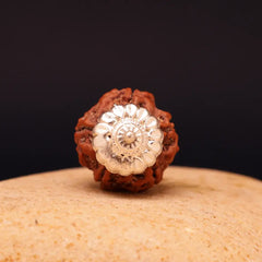 5 Mukhi Lab Tested Certified Nepali Rudraksha