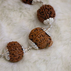1–14 Mukhi Rudraksha Mala – Nepal Origin | With Ganesh Mukhi & Gaurishankar