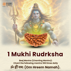 1 Mukhi Lab Certified Rudraksha