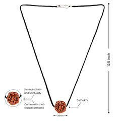 Natural 5 Mukhi Rudraksha – Nepali Origin, Lab Certified