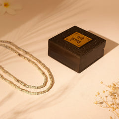 Krishna Bhakti Combo