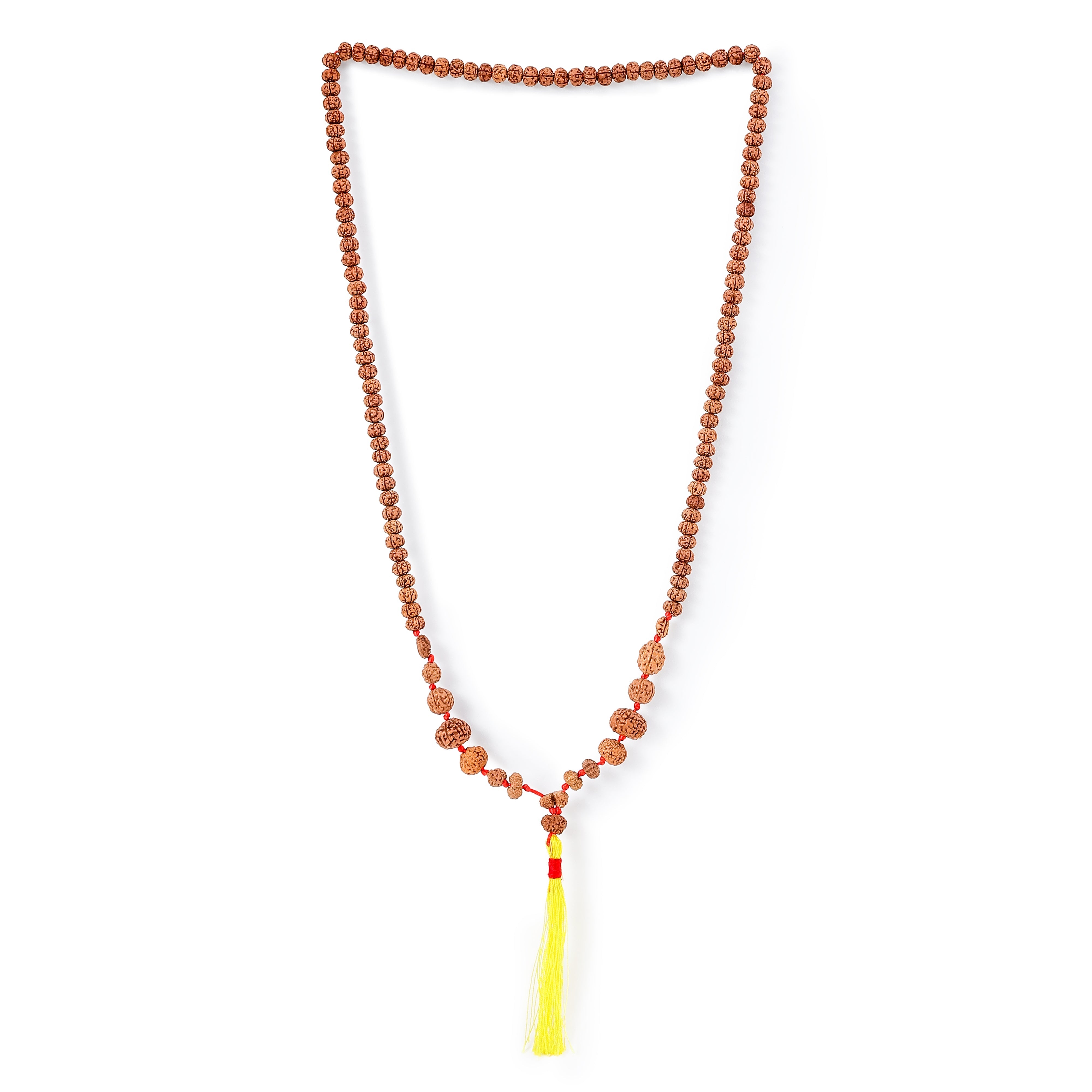 1 - 14 Mukhi Rudraksha Mala