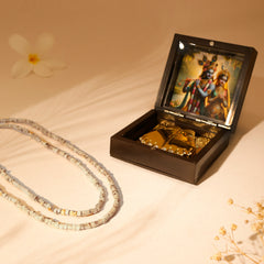 Krishna Bhakti Combo