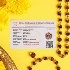 Golden Cap Rudraksha Necklace & Bracelet Combo