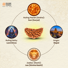 1 Mukhi Lab Certified Rudraksha