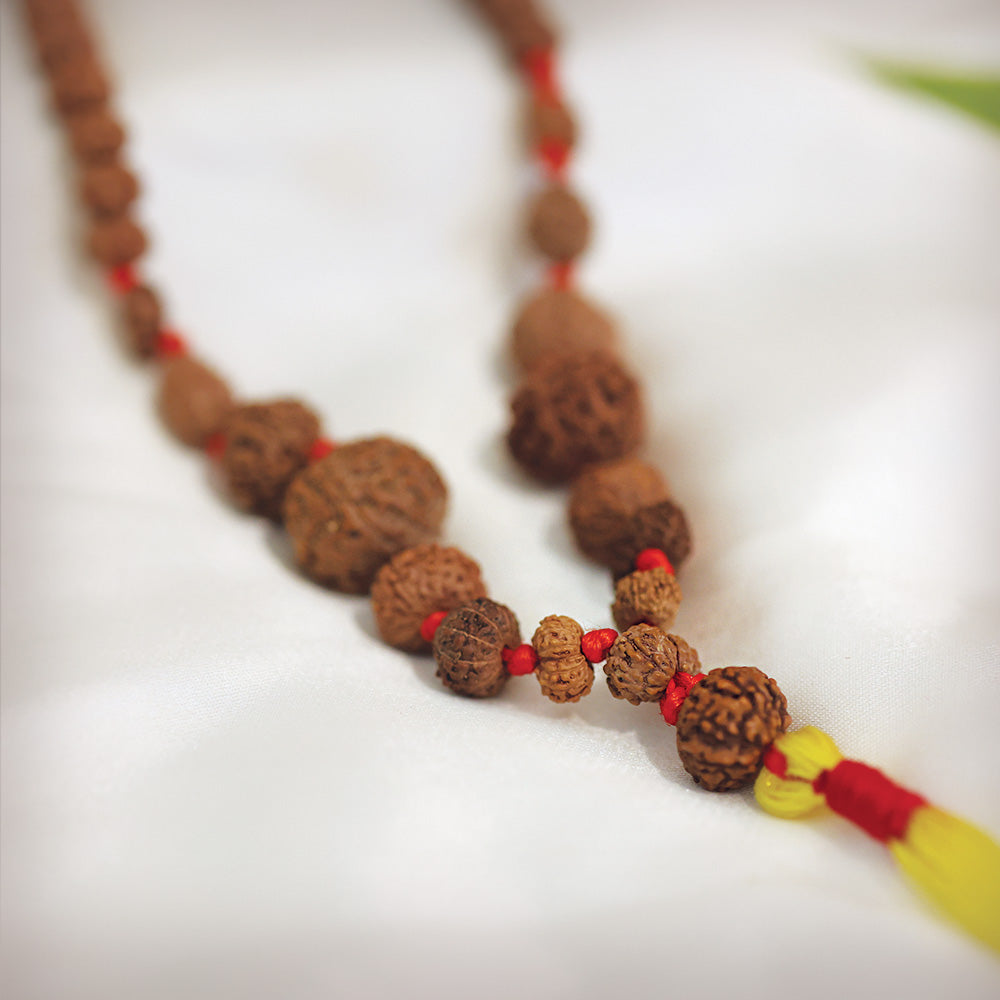 1 - 14 Mukhi Rudraksha Mala