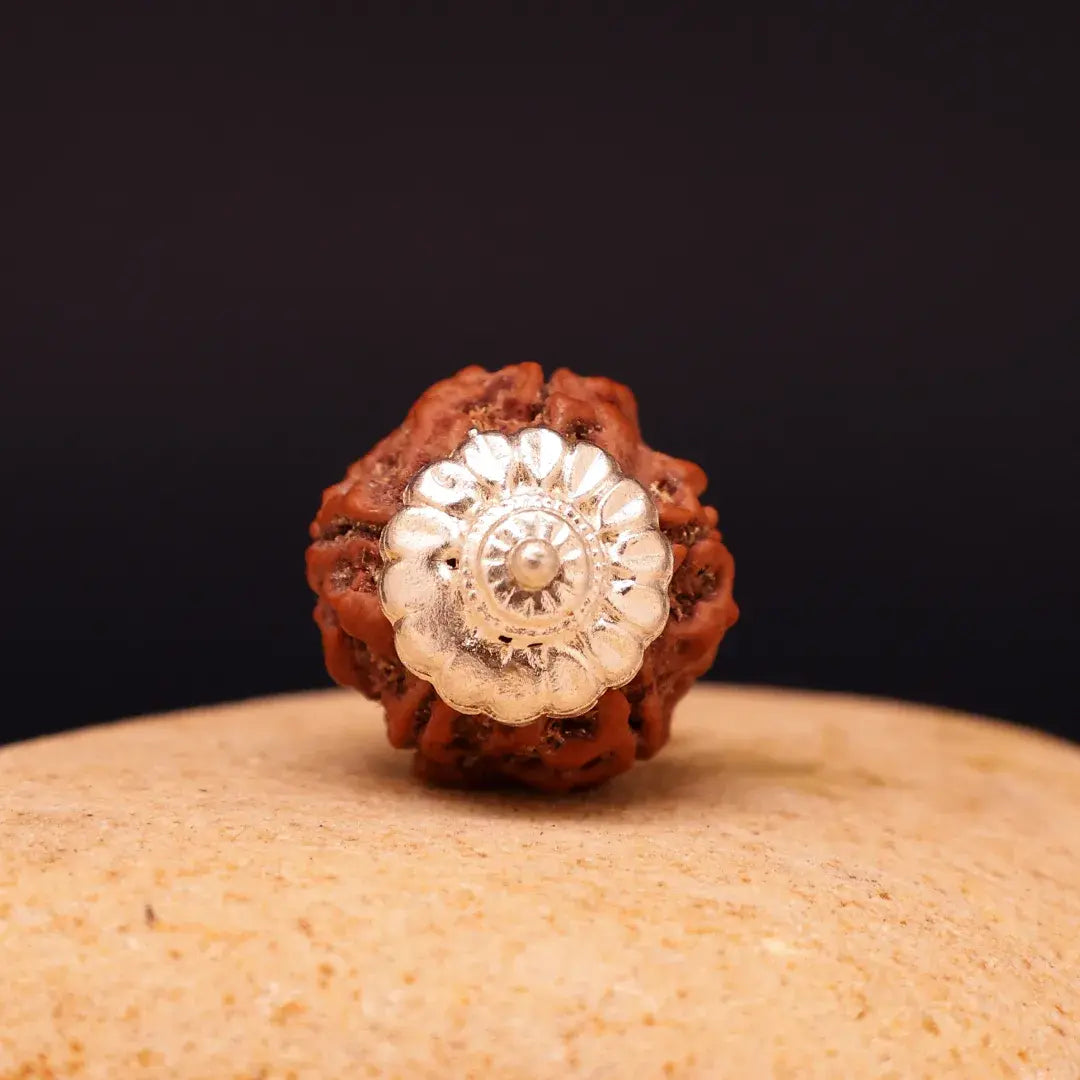 5 Mukhi Lab Tested Certified Nepali Rudraksha