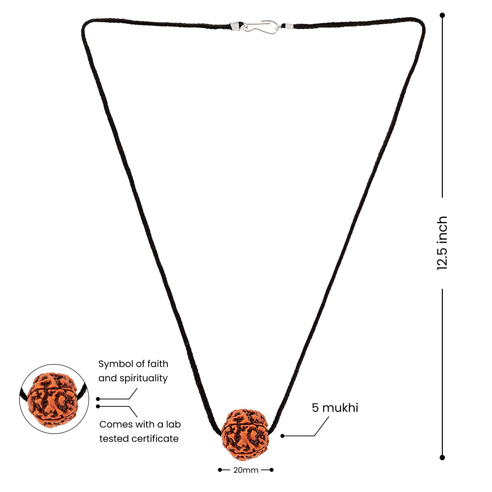 Natural 5 Mukhi Rudraksha – Nepali Origin, Lab Certified