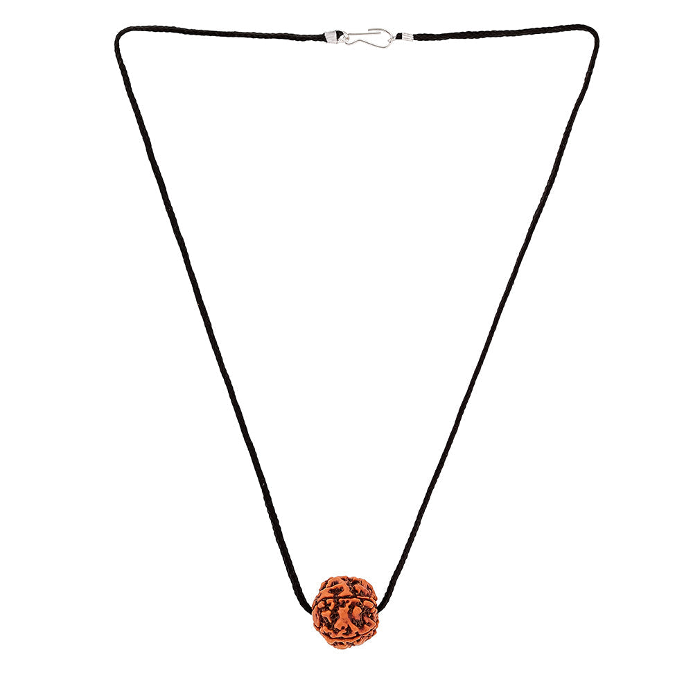 Natural 5 Mukhi Rudraksha – Nepali Origin, Lab Certified